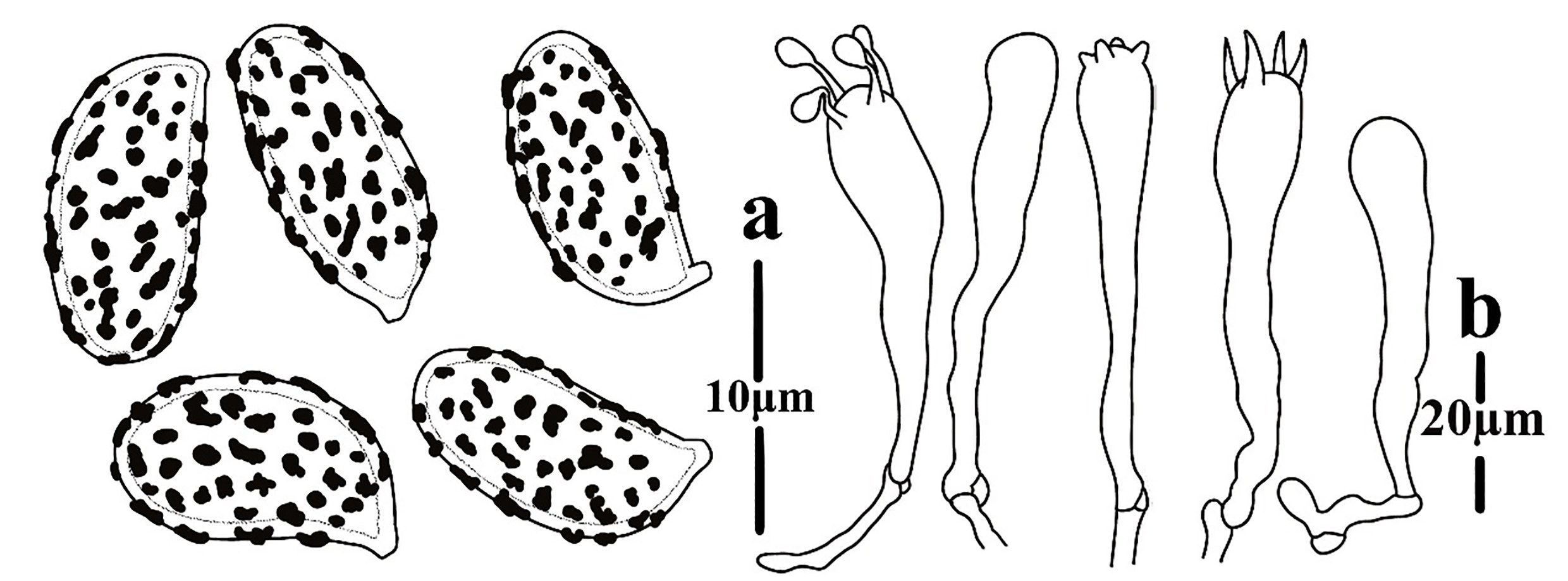 Figure 116